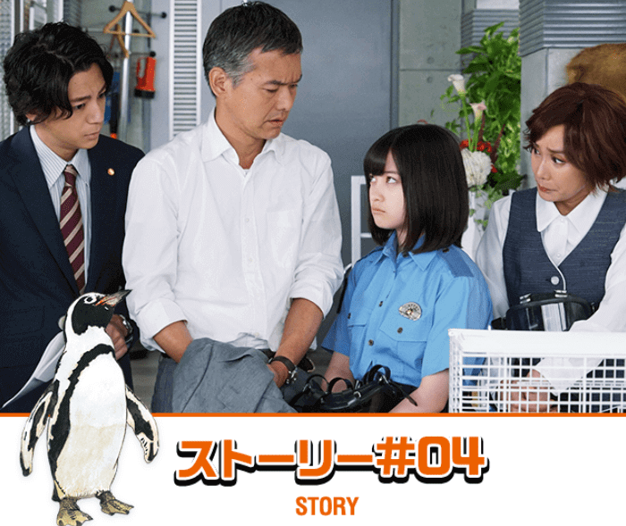 【警視庁いきもの係】4話あらすじと視聴率!渡部篤郎の壁ドンと橋本環奈の生足で癒し爆発!