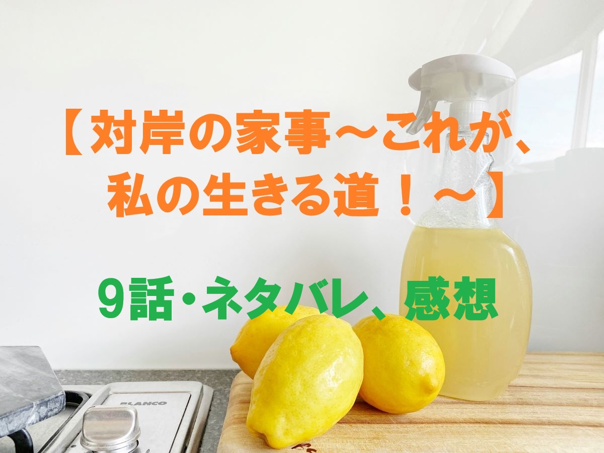 対岸の家事9話