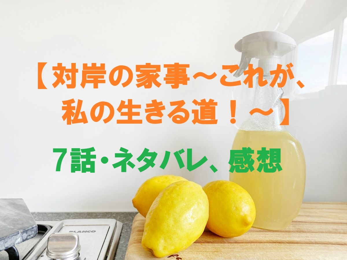 対岸の家事7話
