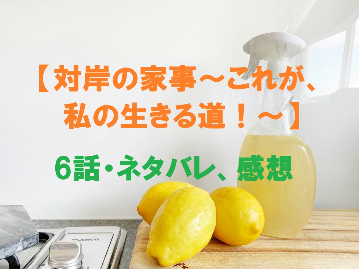 対岸の家事6話