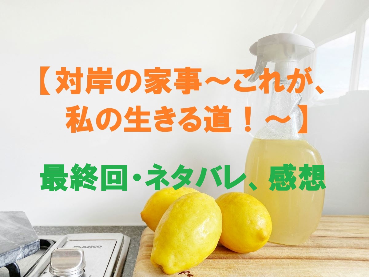 対岸の家事最終回