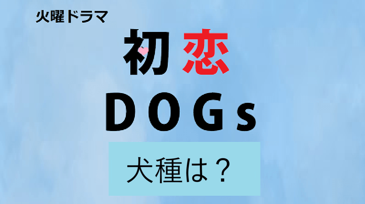 火曜ドラマ「初恋DOGs」犬種は？