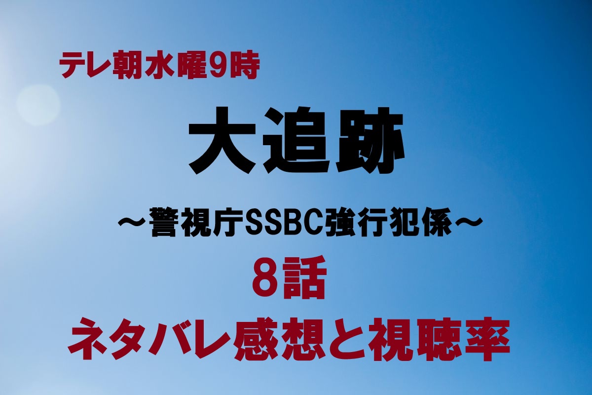 大追跡8話