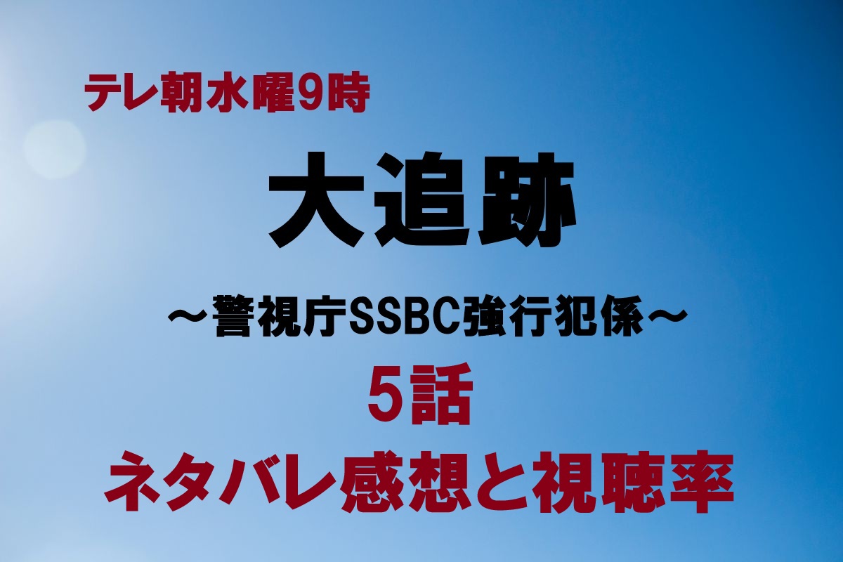 大追跡5話
