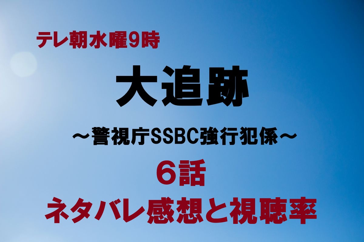 大追跡6話