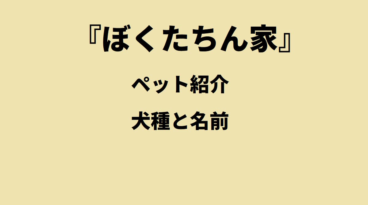 ぼくたちん家